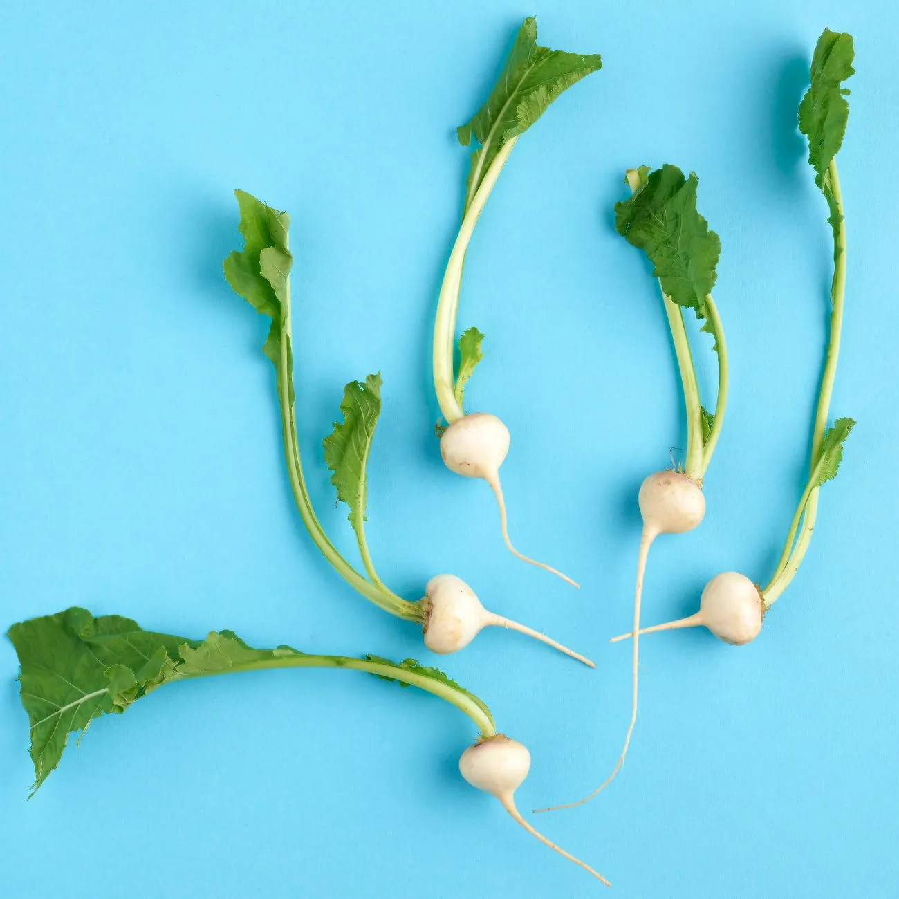 Voeding rijk aan vitamine B12 voor energie